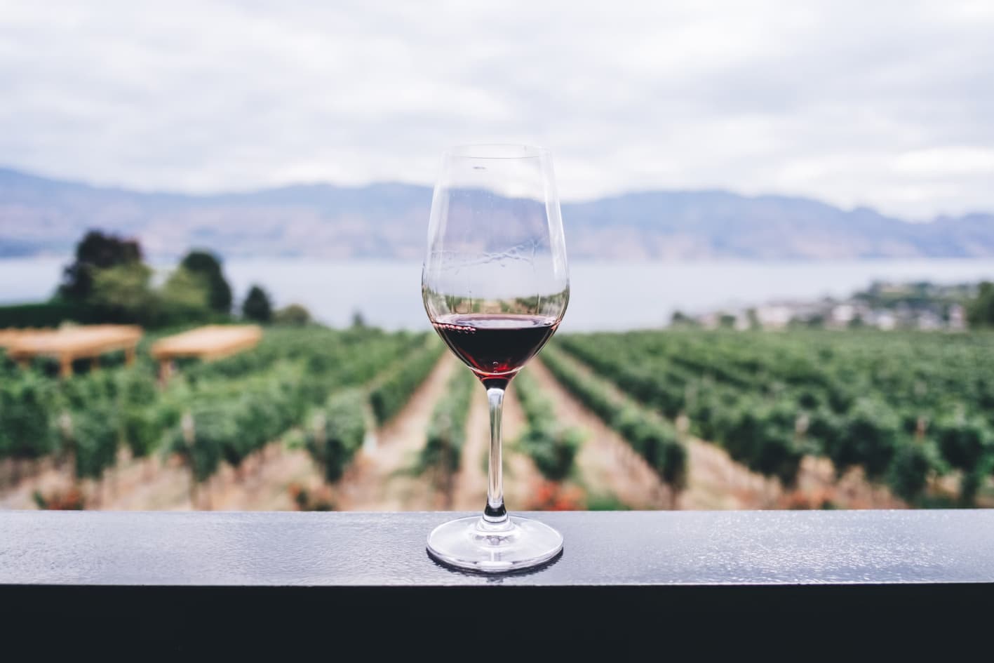 Mastering the Essence: Experience Fine Art of Wine Tasting and Truffle Hunting-Extended