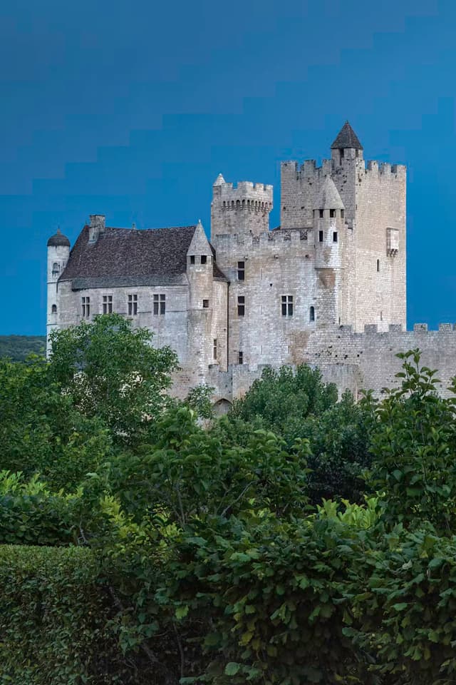 Mastering the Essence: Experience Fine Art of Wine Tasting and Truffle Hunting-Extended