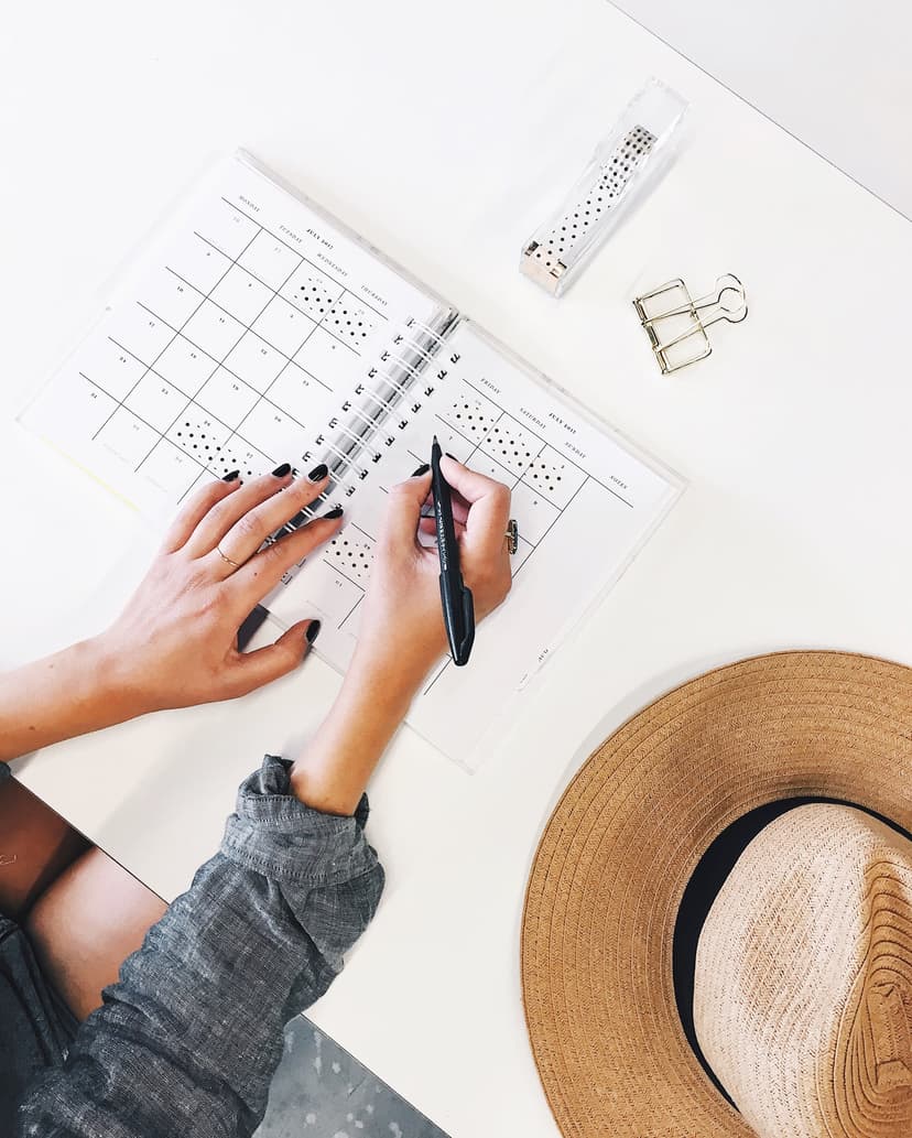 Traveler plan