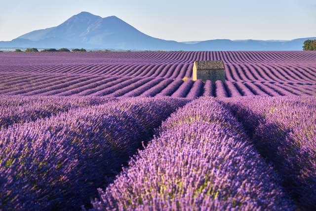 Discovering the French Art de Vivre